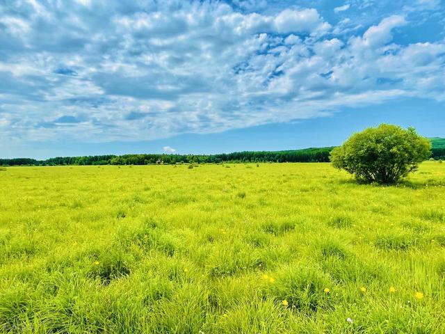 中国草原 NO.1! 低调了数千年的牧场，曾让成吉思汗都在此策马奔腾