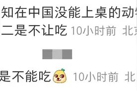 如果澳大利亚兔灾交给中国，我们能用吃解决这100亿只兔子吗？图片