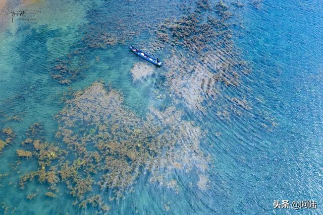普洛码头的位置比较隐秘,却是泸沽湖的“花海C位”,风景美如画
