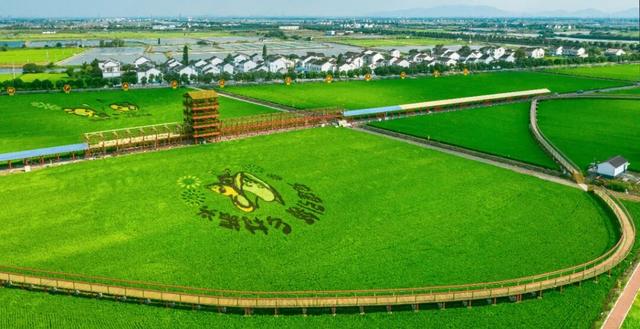 宜兴乡村之美，美在哪儿？