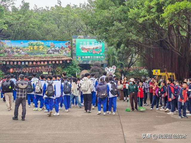参观广州长隆野生动物园，全程感觉眼累手累腿不累
