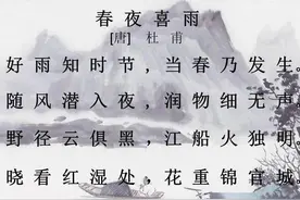 春夜喜雨—「 唐 」杜甫图片