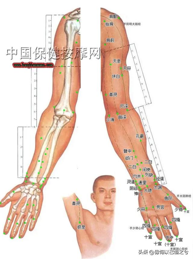 人体-结构-功能-系统