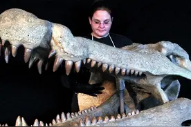 世界上最大的蛇有多大？热带雨林泰坦蟒重达1吨，能吃鳄鱼图片