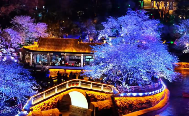 3月国内赏樱天花板！“世界三大赏樱胜地”之一，3万多株盛放