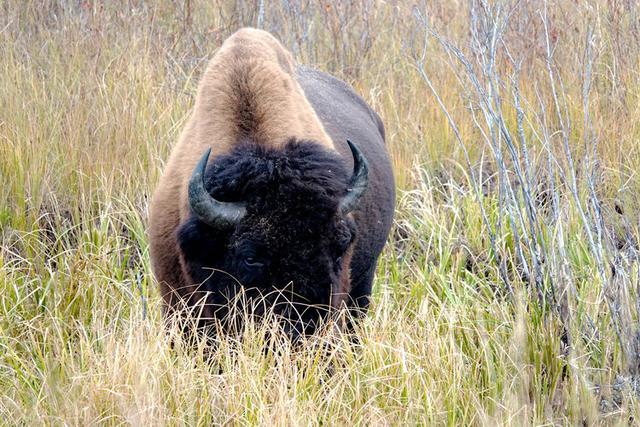 去北美洲加拿大和古巴的旅程