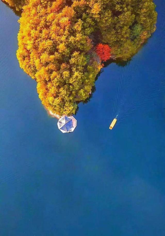 错峰出游 | 黄陂的秋天，才刚刚开始！