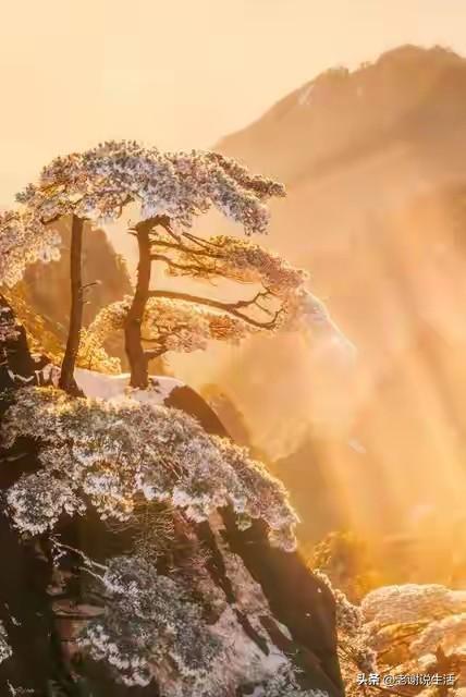 5点04分大雪，老话“不怕大雪雪	，最怕大雪晴”，大雪晴啥说法？