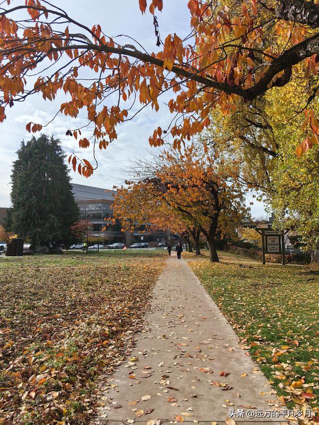 温哥华游记（五）