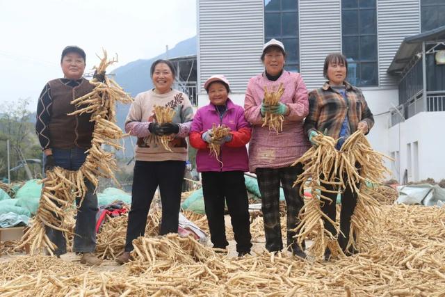 "咔嚓！"→文县