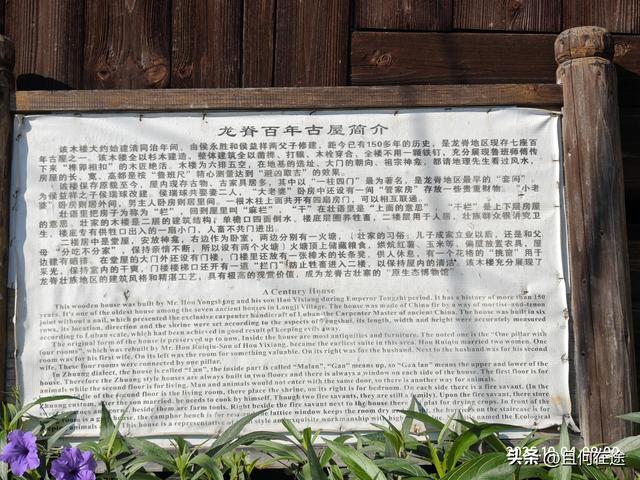 国庆期的龙脊梯田，即使是用老人机，也能拍出最动人的秋景与秋色