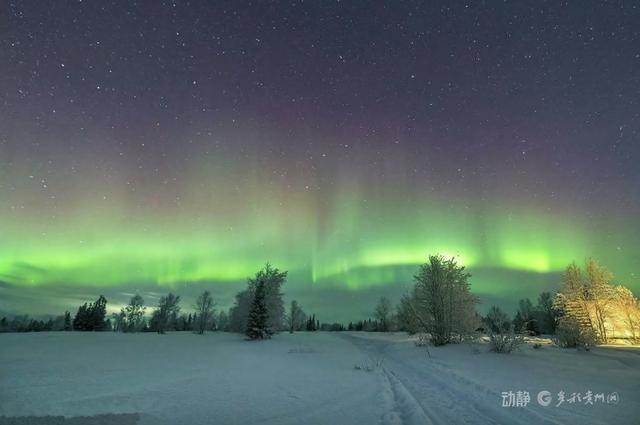 俄罗斯免签政策落地，“出国冰雪游”热度高涨