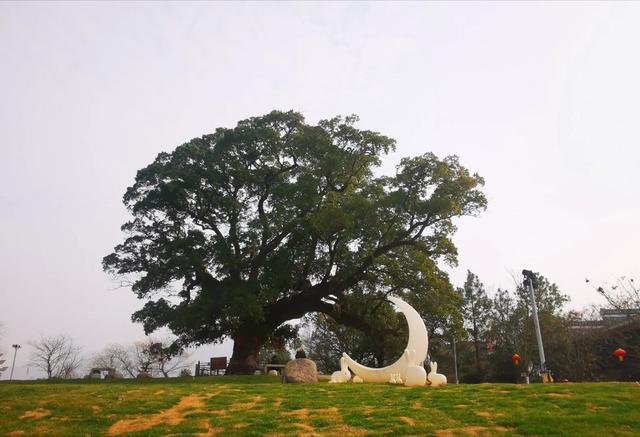 南昌秘境：探千年安义古村群，寻赣鄱大地烟火文脉！