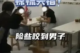 狗患成灾！邻居养狗不牵绳，吓到人还嘲讽“怕什么？它不咬人！”图片