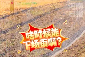 河南部分地区出现气象特旱，未来10天旱情将持续，河南气象局：已做好人工降雨的准备图片