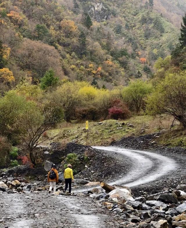 【美丽四川】平武沙棘沟行记：穿过五公里雨雪晴阴 收获“无执”的秋日‖柳红樱