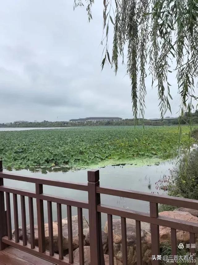 秋雨绵绵漳泽湖
