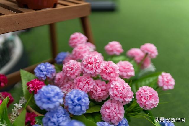适马35mm F1.2 DG II | Art深度评测 扫街黄金焦段的画质标杆