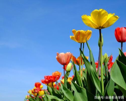 情感爆文《在感情的世界里，懂比爱重要》