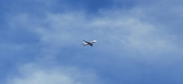 云南昆明 冬藏隐居山野间