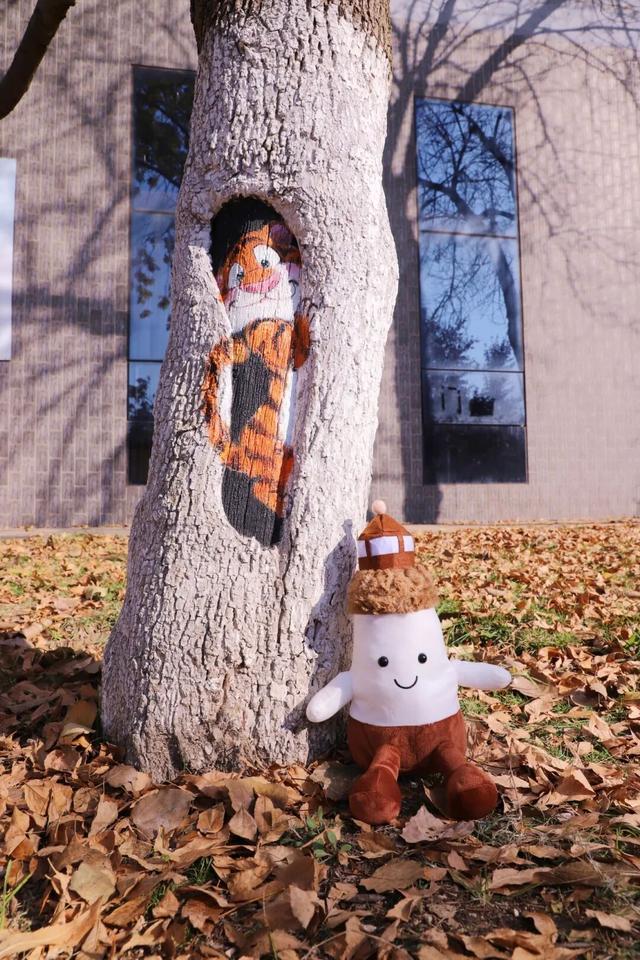 什么？日照这里有一群“小精灵”？！