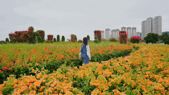 厦门又一网红出片点位，上新！美成偶像剧取景地→