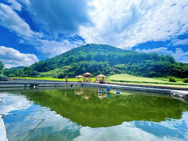 武山县杨河镇：山水酿清凉 云溪享夏梦（组图）