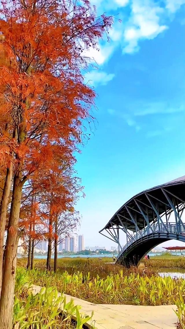 珠海在哪里可以寻找到秋天甚至赏秋？