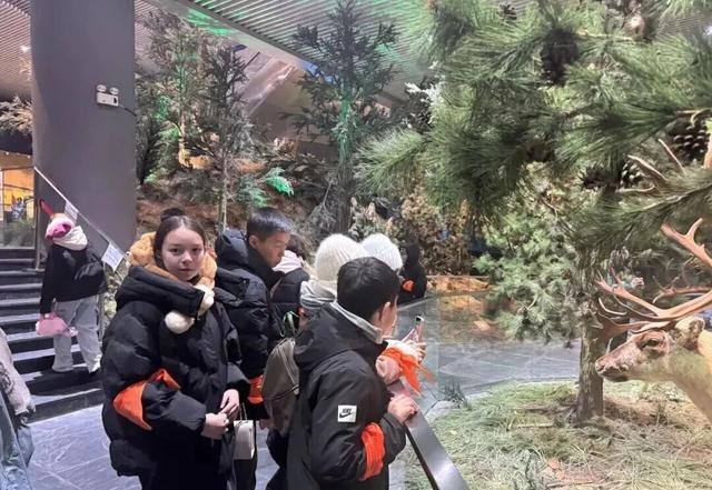 呼伦贝尔自然博物馆参观热度持续攀升