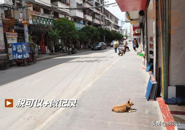 剑州古城：老墙古楼深藏闹市，剑阁老县城普安烟火依旧