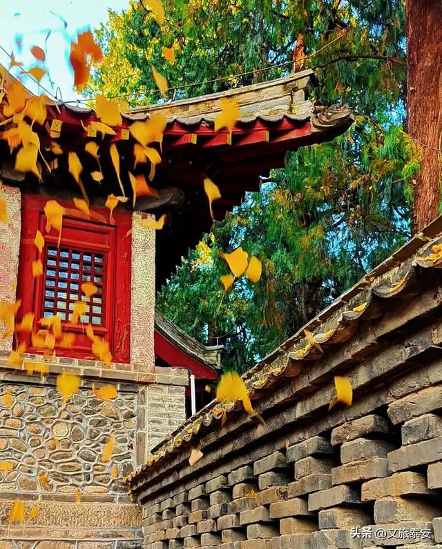 泰安这里景色正惊艳！满足你对秋天的一切美好想象！