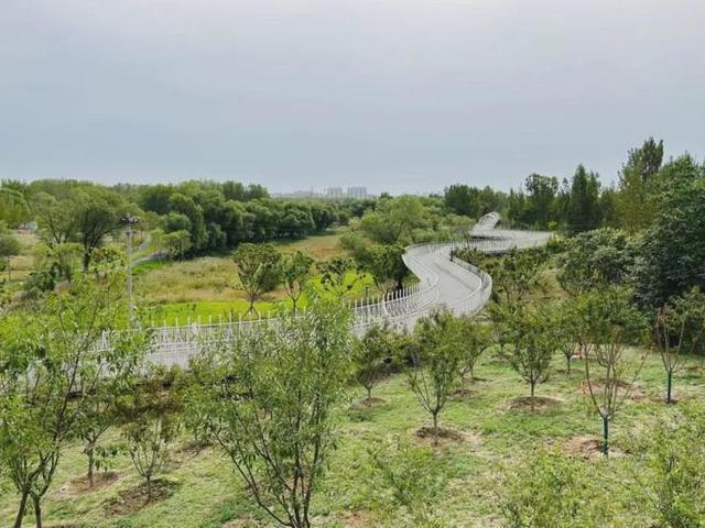 在昌平躺坪 | 20分钟，让公园治愈你