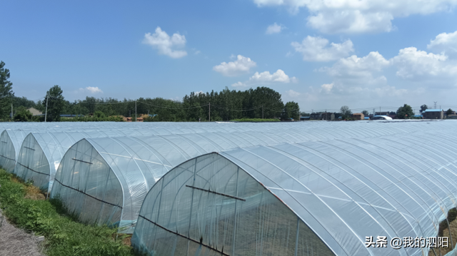 泗阳县城厢街道14个社区是因何得名的？