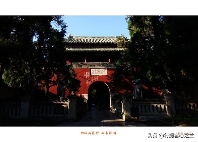 山东行游影记（225）—曲阜孔林（一）