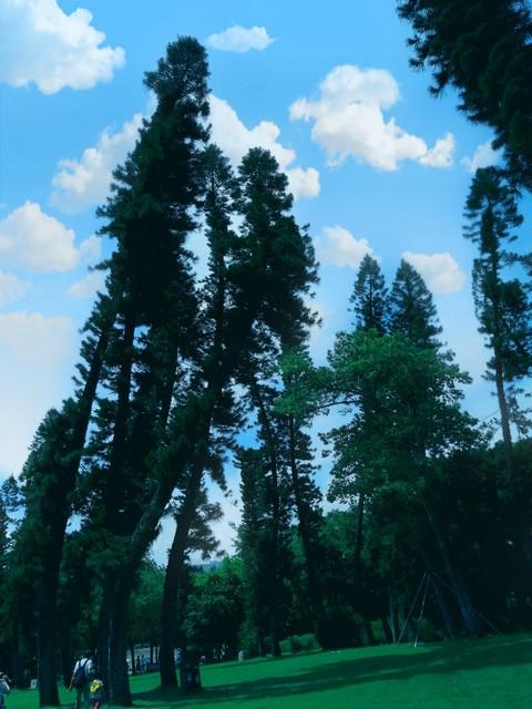 人到中年，最怕的不是失败	，是忽然看清自己