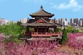 2024第八届雁塔国际樱花季将于雁南公园正式启动图片