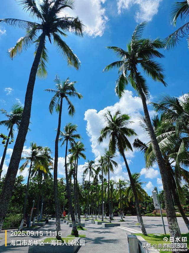 出走的决心—记录第一次一个人的旅行