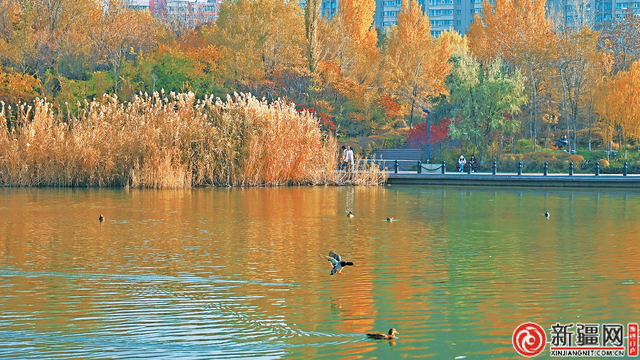 循香入画乌鲁木齐 跟着《红石榴餐厅》开启剧情场景之旅