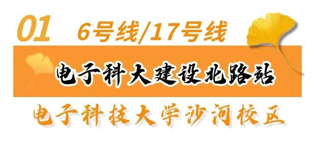 走！坐地铁，赏银杏！