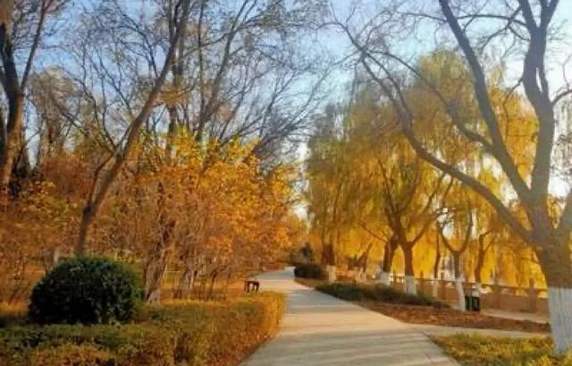 从一碗牛肉面开始，解锁初冬金昌的一日漫游