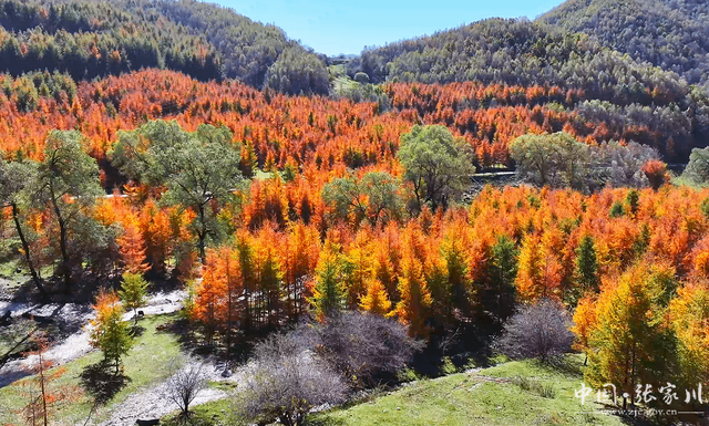 【摄影报道】秋韵未歇：张家川山水的立冬回眸