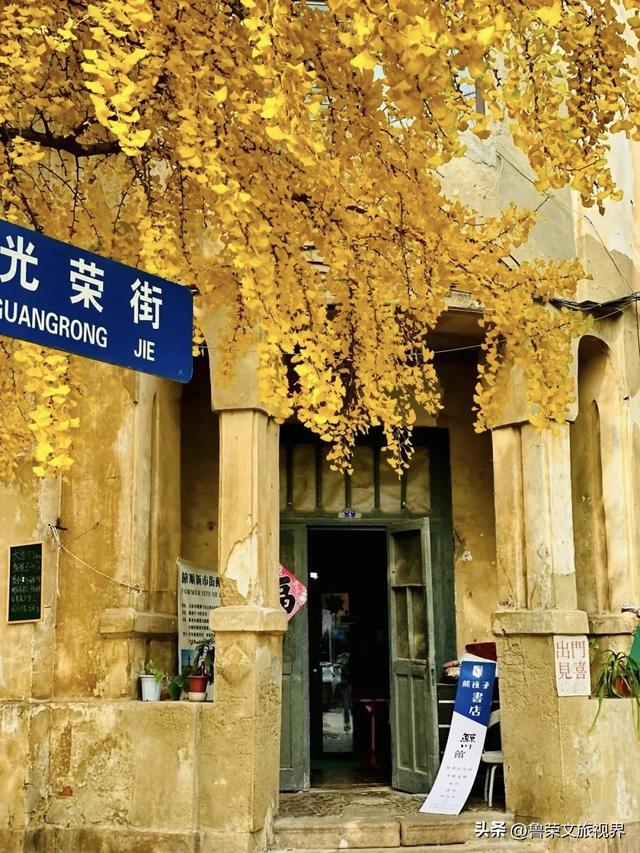 大连秋日鎏金时：荧光海低语，老电车叮咚，海鲜盆里盛着山海情