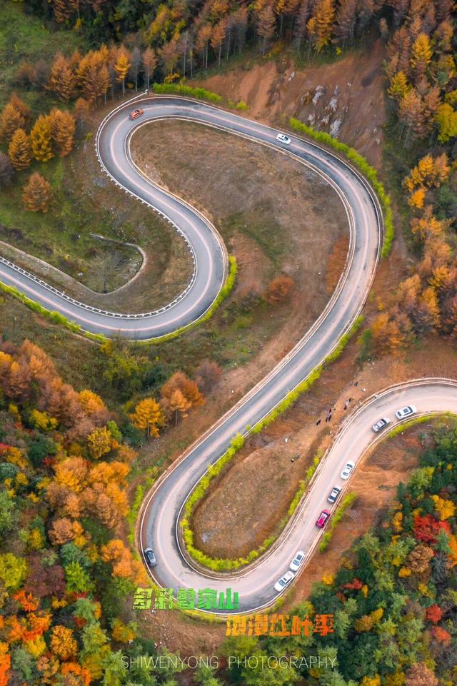 广元不远 周末优选 | 秋色短暂，曾家山赏秋路线来啦！