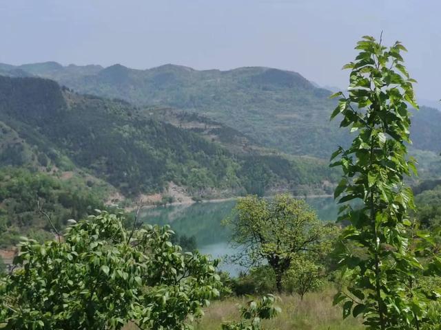 深山藏翡翠秘境！这片山水把夏日浪漫展现