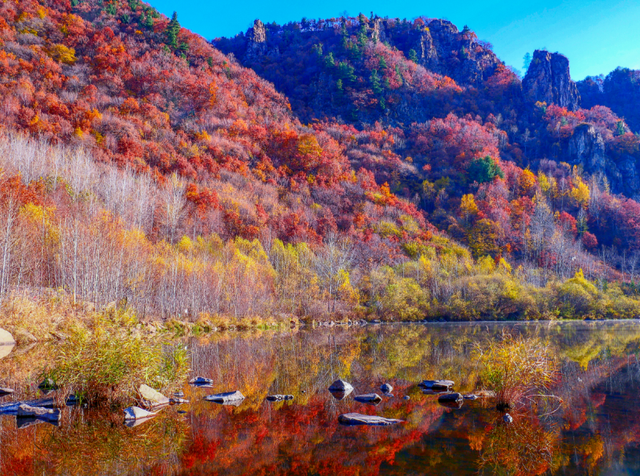 东北“杀疯了”！从新疆“平替”到一周吸金250亿，做对了什么？