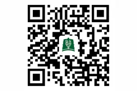 湖北省2025年艺术类体育类技能高考综合排序成绩一分一段统计表图片