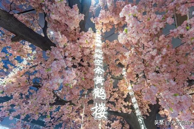 南京又火了！全国首个长江文化沉浸式街区，18.3万人挤爆大行宫见