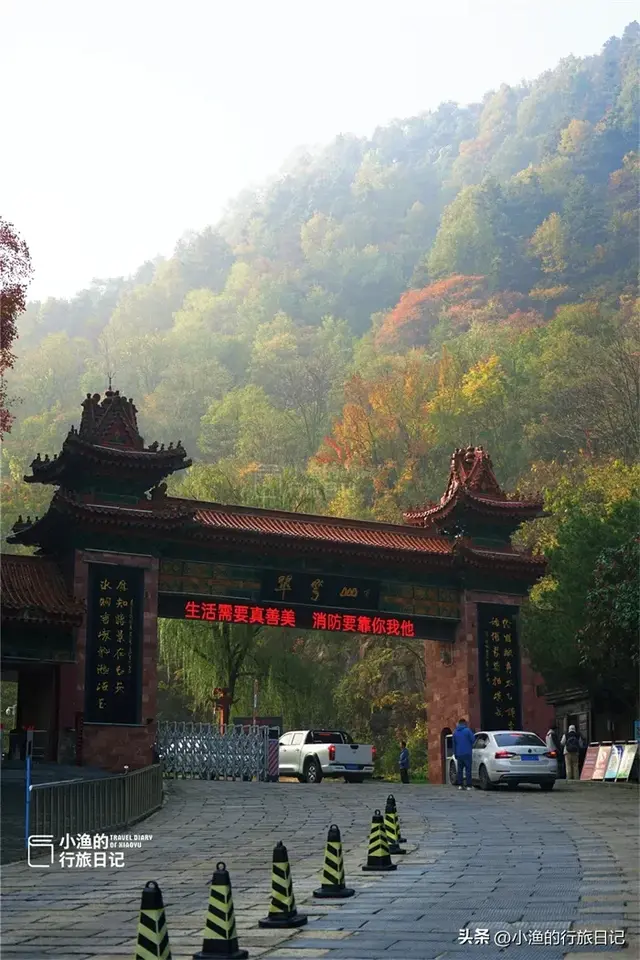 西安人家门口的“红叶秘境”，斑斓整个秋天！美得超乎想象