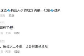 国庆长假的受害者出现了：趵突泉猪锦鲤，网友们评论真是笑翻天了图片