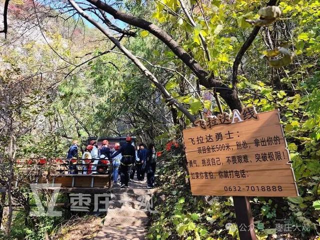 红叶季，在枣庄抱犊崮崖壁上拍到我的人生照片！